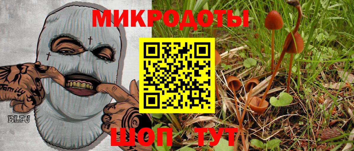 Псилоцибиновые грибы Psilocybine cubensis  Саранск  Псилоцибиновые грибы Magic Shrooms 