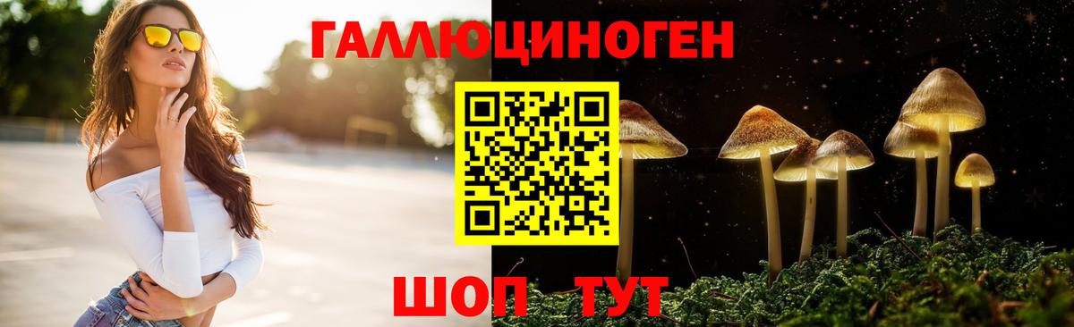 наркотики  Вход с VPN  Саранск  Псилоцибиновые грибы Psilocybine cubensis 
